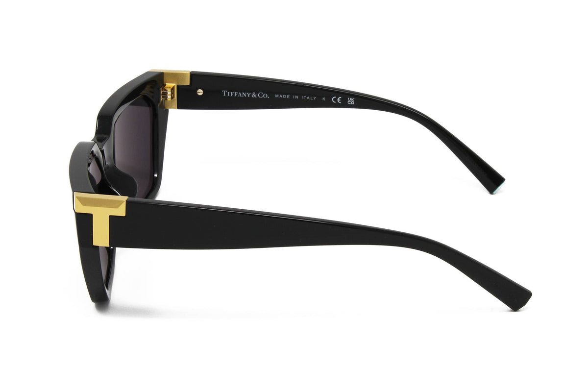 Black Square Designer Women's Sunglasses