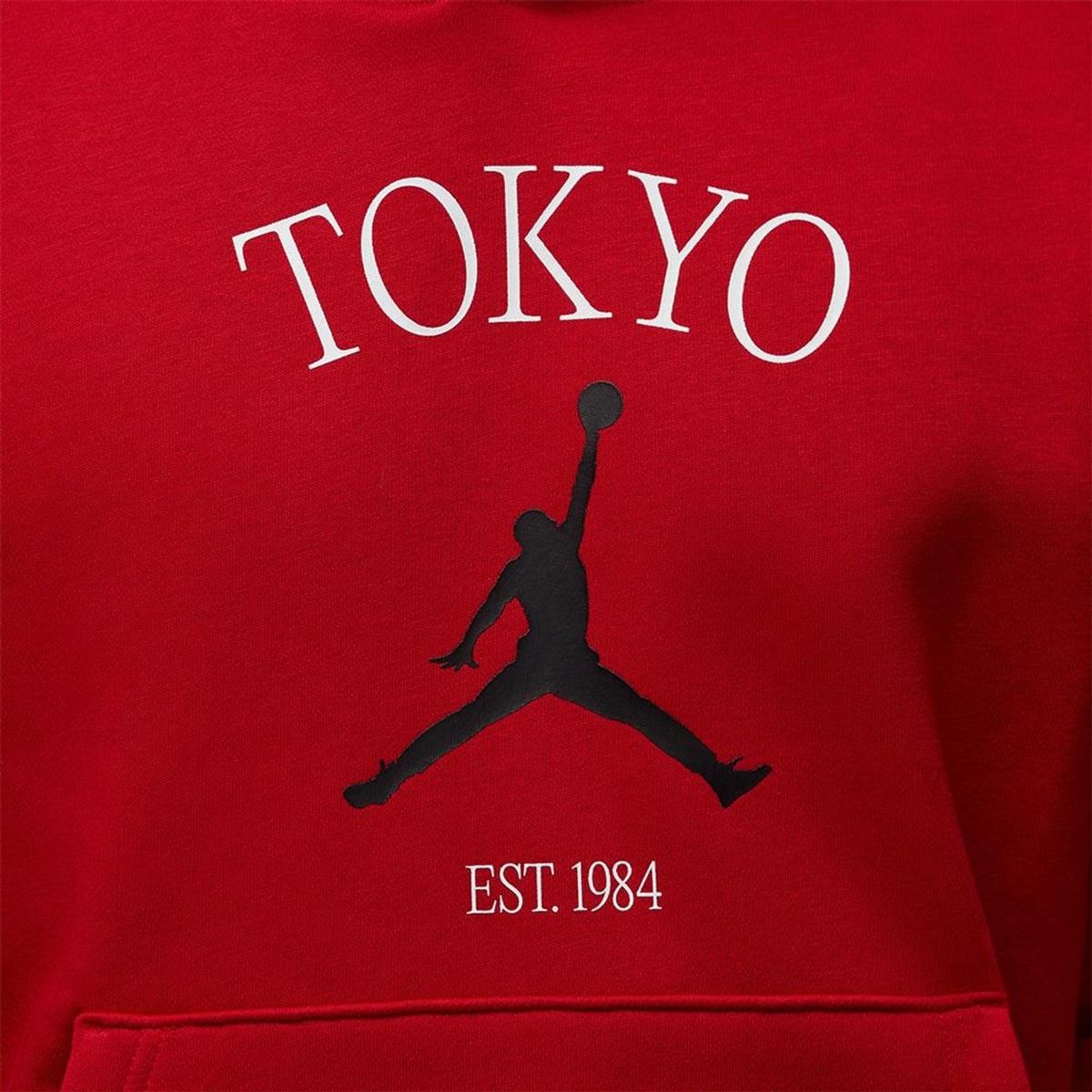 Air Jordan Men's Tokyo City Hbr Po Hoodie