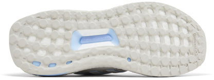 adidas Women's Ultraboost 1.0 W Sneakers