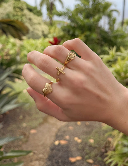 Elevated Faith Kingdom Signet Ring