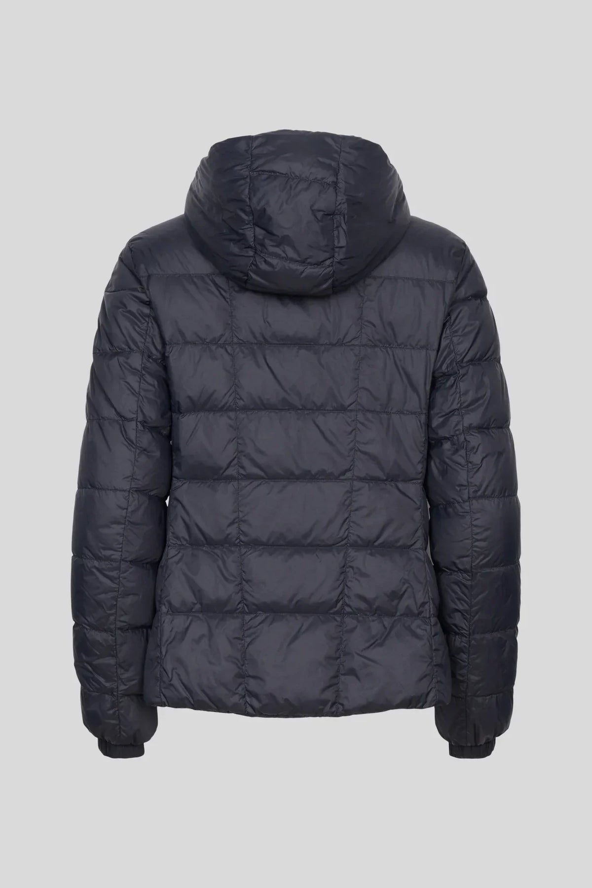 Abbott Hoodie