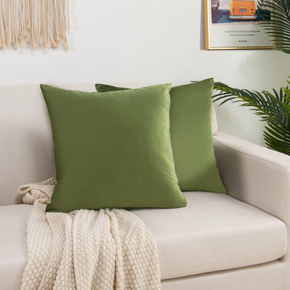 Elegant Comfort 2 Piece Velvet Cushion Cover Solid - Pillow Covers