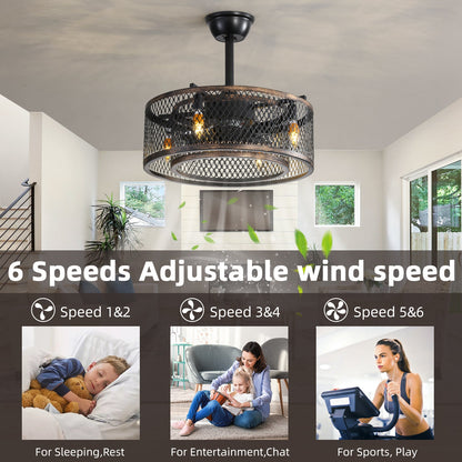 20-Inch Caged Ceiling Fan with Lights