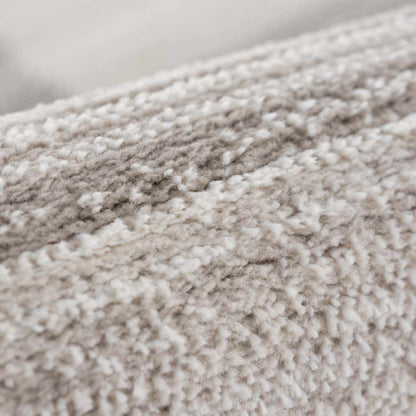 Bronka Broken-Striped Area Rug