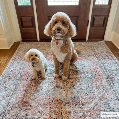 Beck Peach Washable Area Rug - Clearance