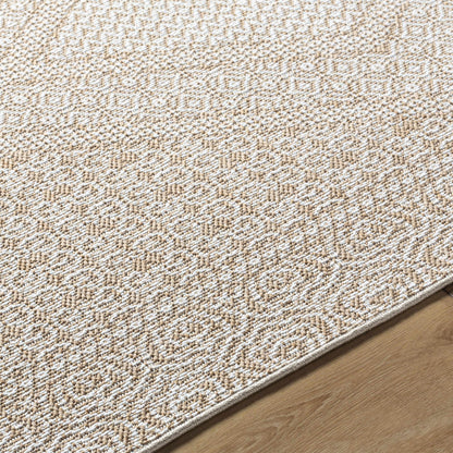 Chaman Outdoor Area Rug