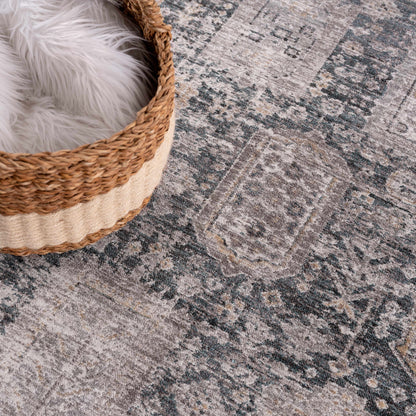 Elsu Area Rug