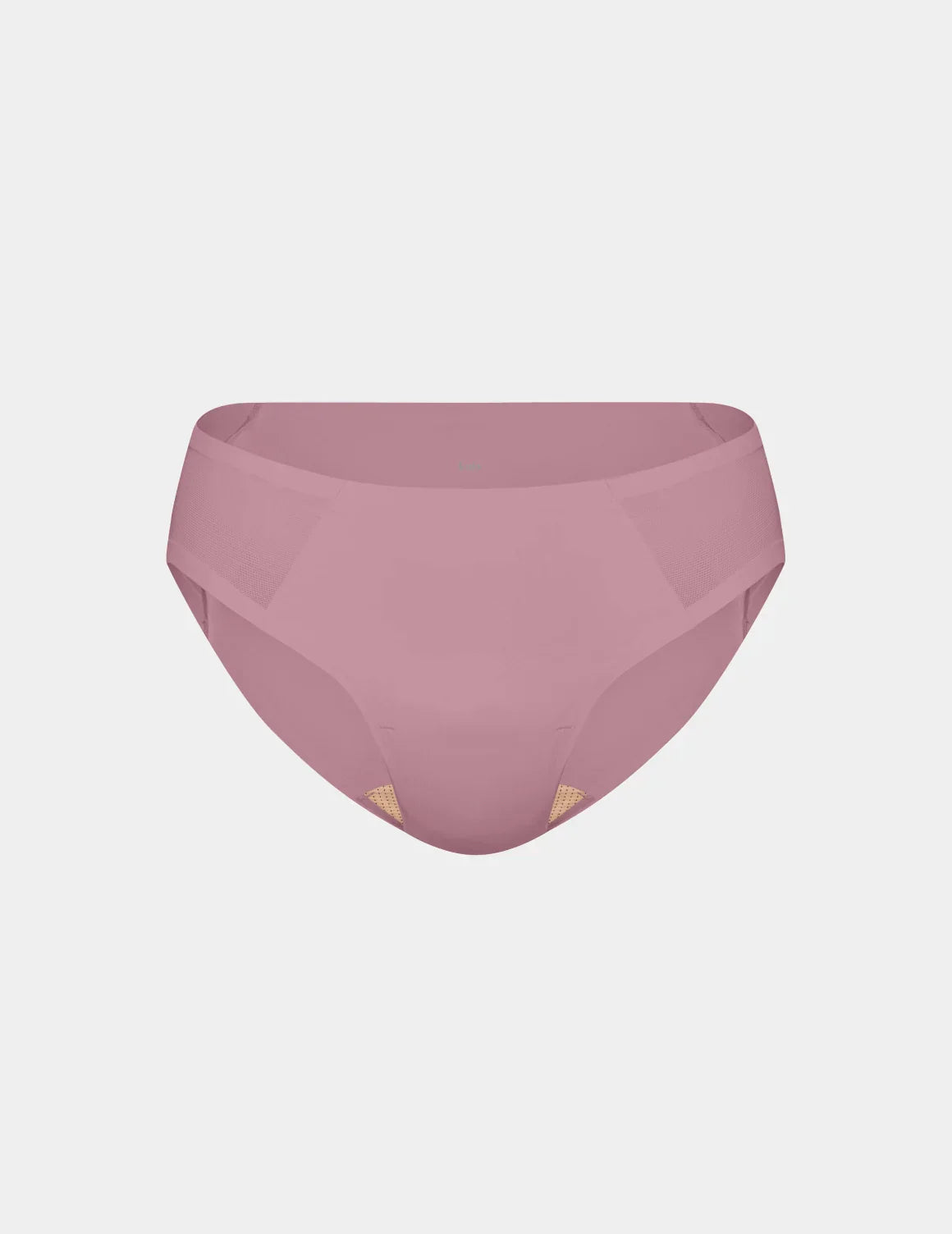 Essential Mesh Bikini - Last Call