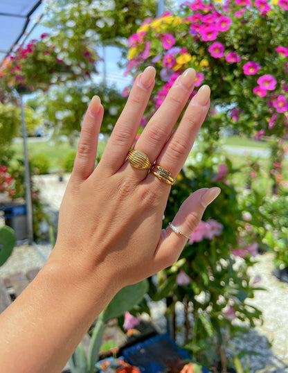 Elevated Faith Prophecy Ring