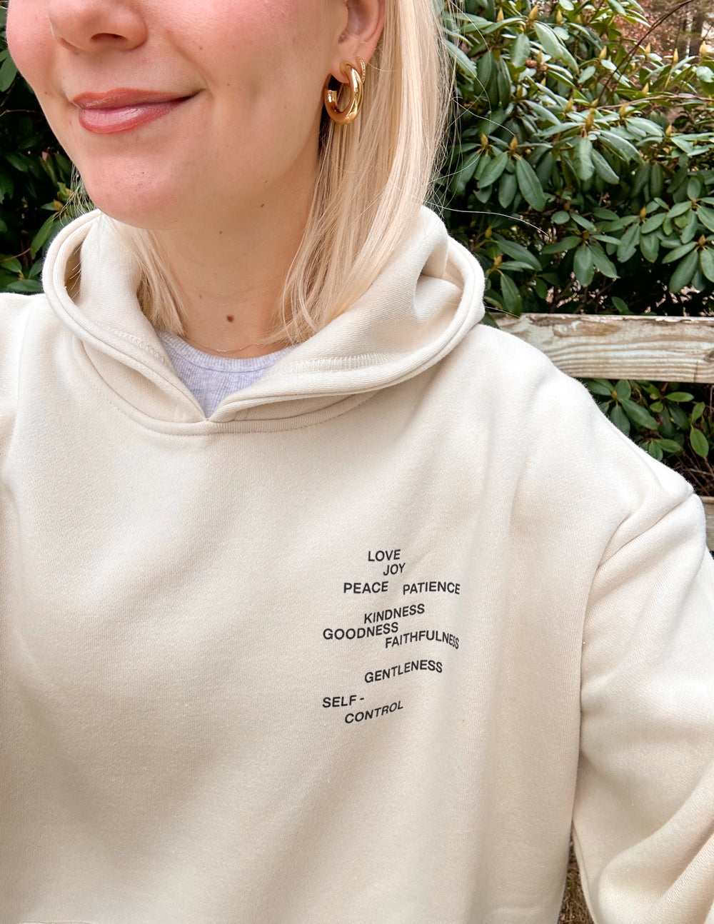 Elevated Faith Fruit of the Spirit Unisex Hoodie