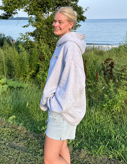 Elevated Faith Heaven Heather Grey Unisex Hoodie