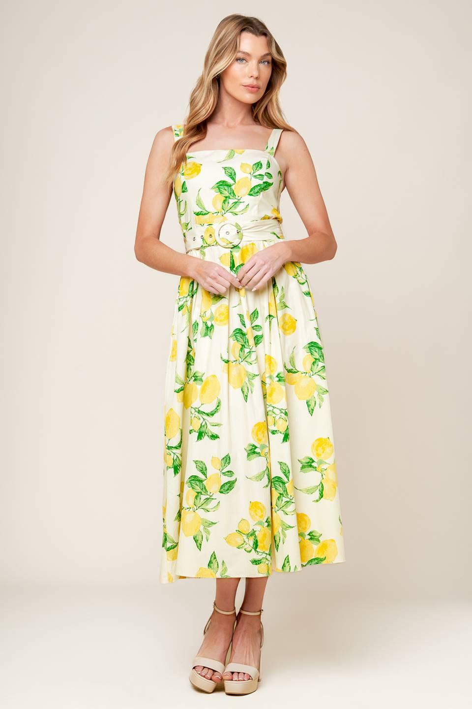 Beaming Perfection Ivory Woven Midi Dress
