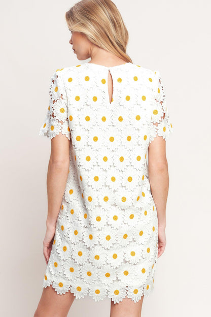 Daisies and Daydreams Woven Lace Mini Dress