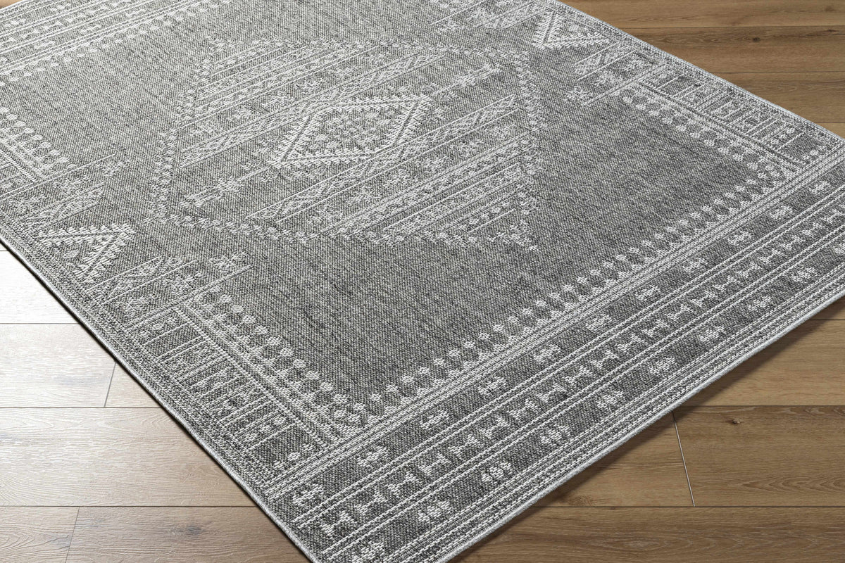 Asuman Outdoor Area Rug