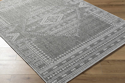 Asuman Outdoor Area Rug