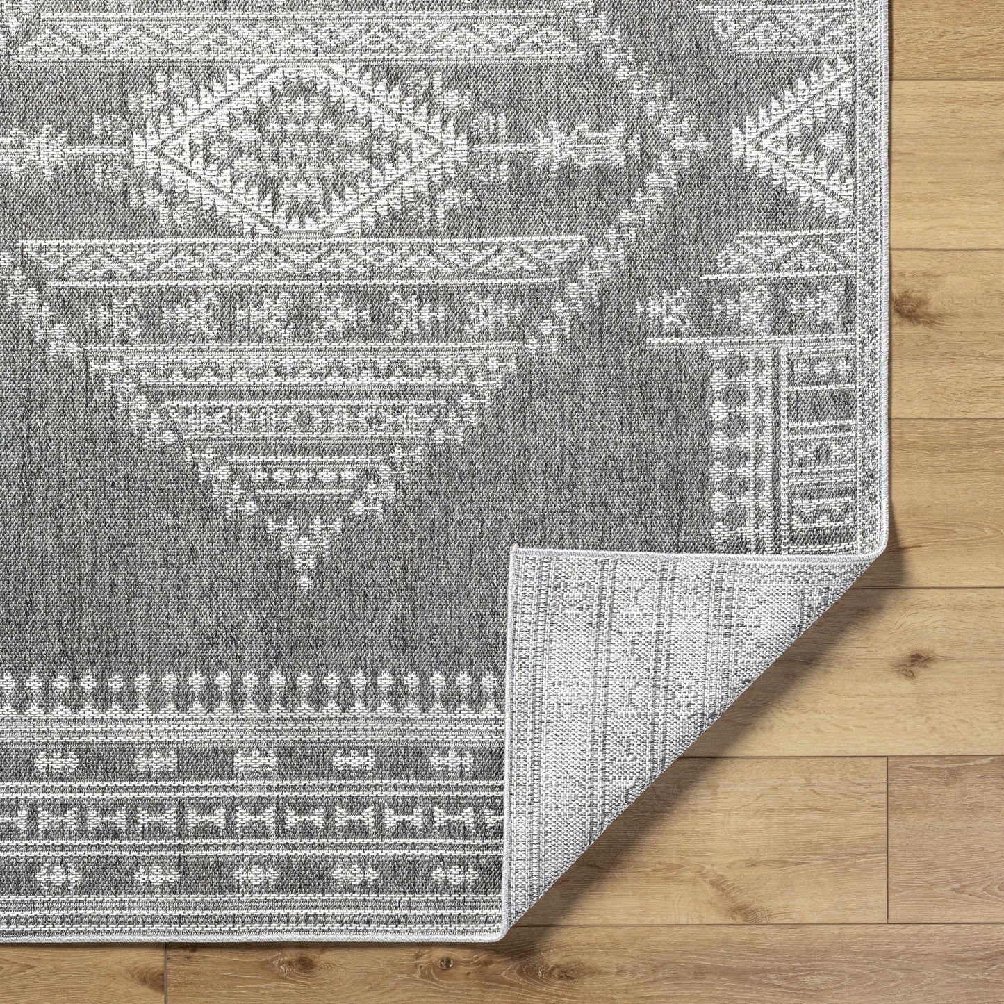 Asuman Outdoor Area Rug