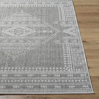 Asuman Outdoor Area Rug