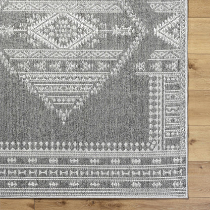 Asuman Outdoor Area Rug