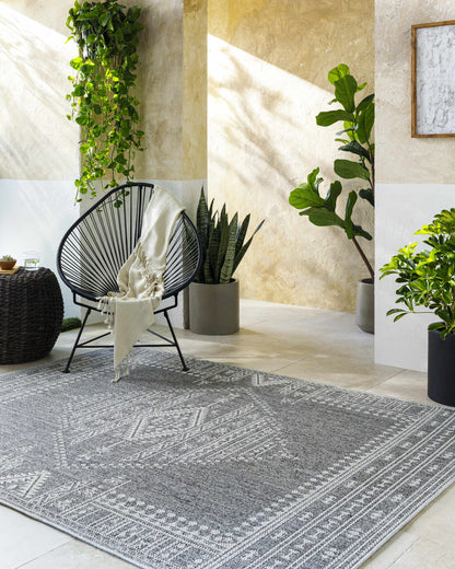 Asuman Outdoor Area Rug