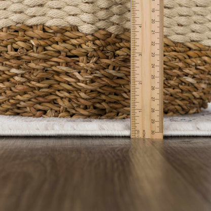Buenaventura Cream & Navy Area Rug - Clearance