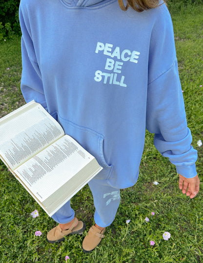 Elevated Faith Peace Be Still Unisex Hoodie