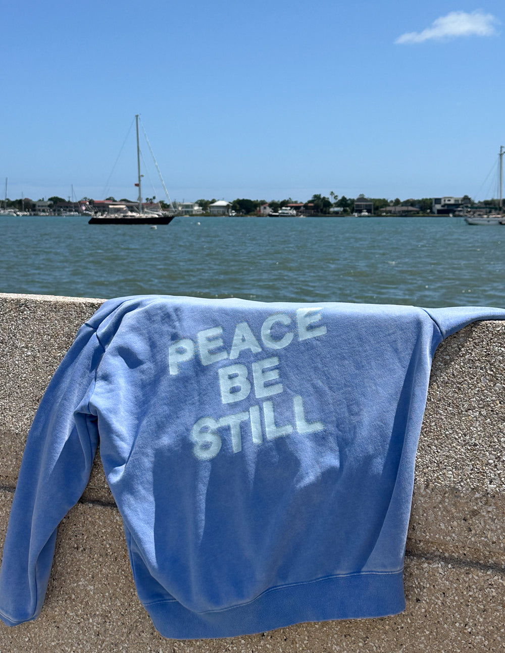 Elevated Faith Peace Be Still Unisex Hoodie