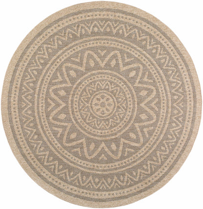 Gitel Outdoor Area Rug - Clearance