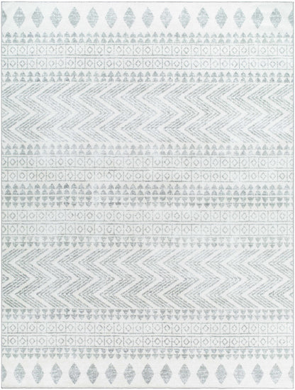 Danon Washable Area Rug