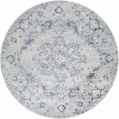 Ankti Aqua Washable Area Rug - Clearance