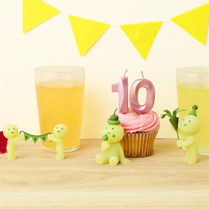 Blind Box Birthday Series (1 pc)