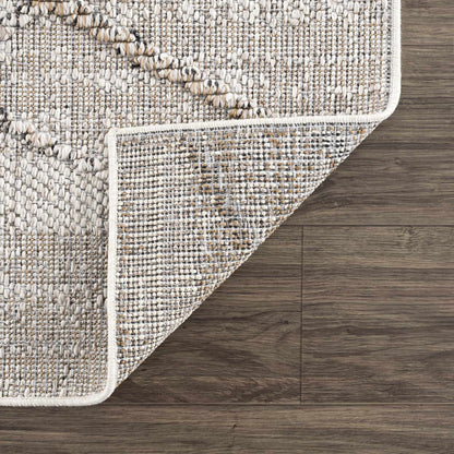 Baqer Bone & Tan Textured Performance Outdoor Rug - Clearance