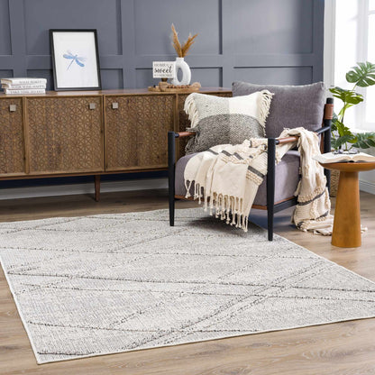 Baqer Bone & Taupe Textured Performance Outdoor Rug - Clearance