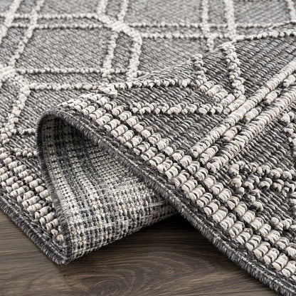 Diah Black & Bone Outdoor Area Rug - Clearance