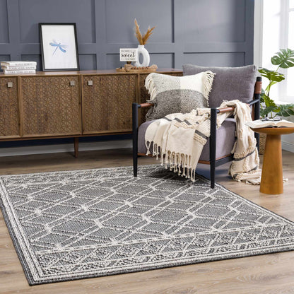 Diah Black & Bone Outdoor Area Rug - Clearance