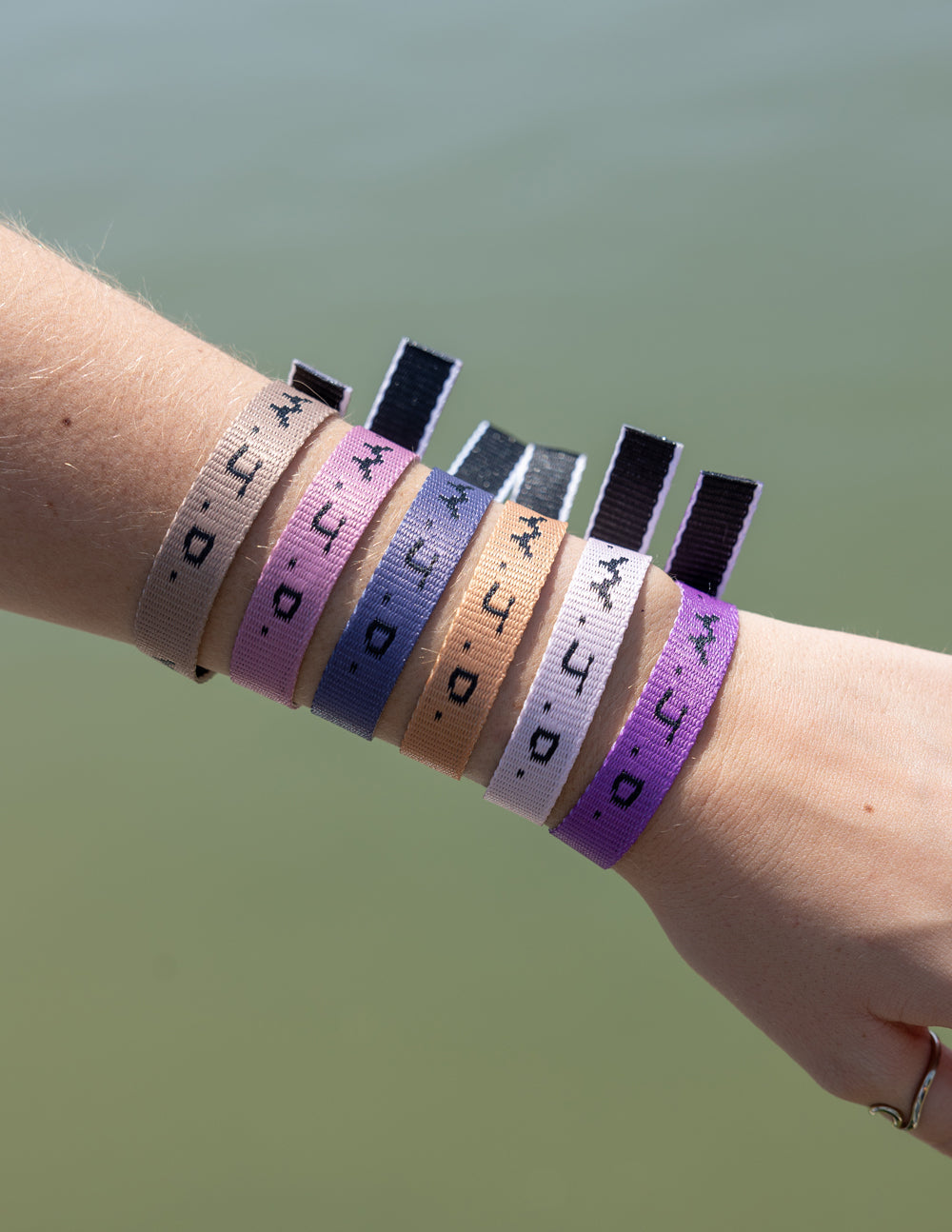 Elevated Faith WWJD Paradise Bracelet Pack