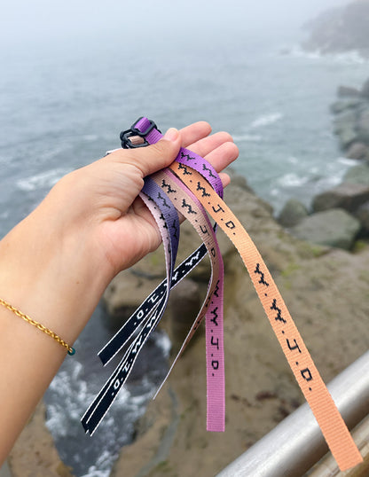 Elevated Faith WWJD Paradise Bracelet Pack