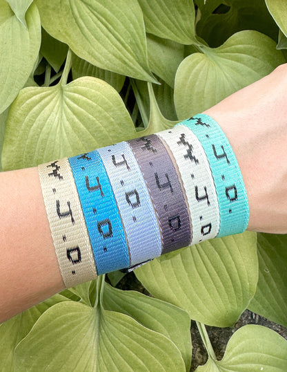 Elevated Faith WWJD Surf Bracelet Pack