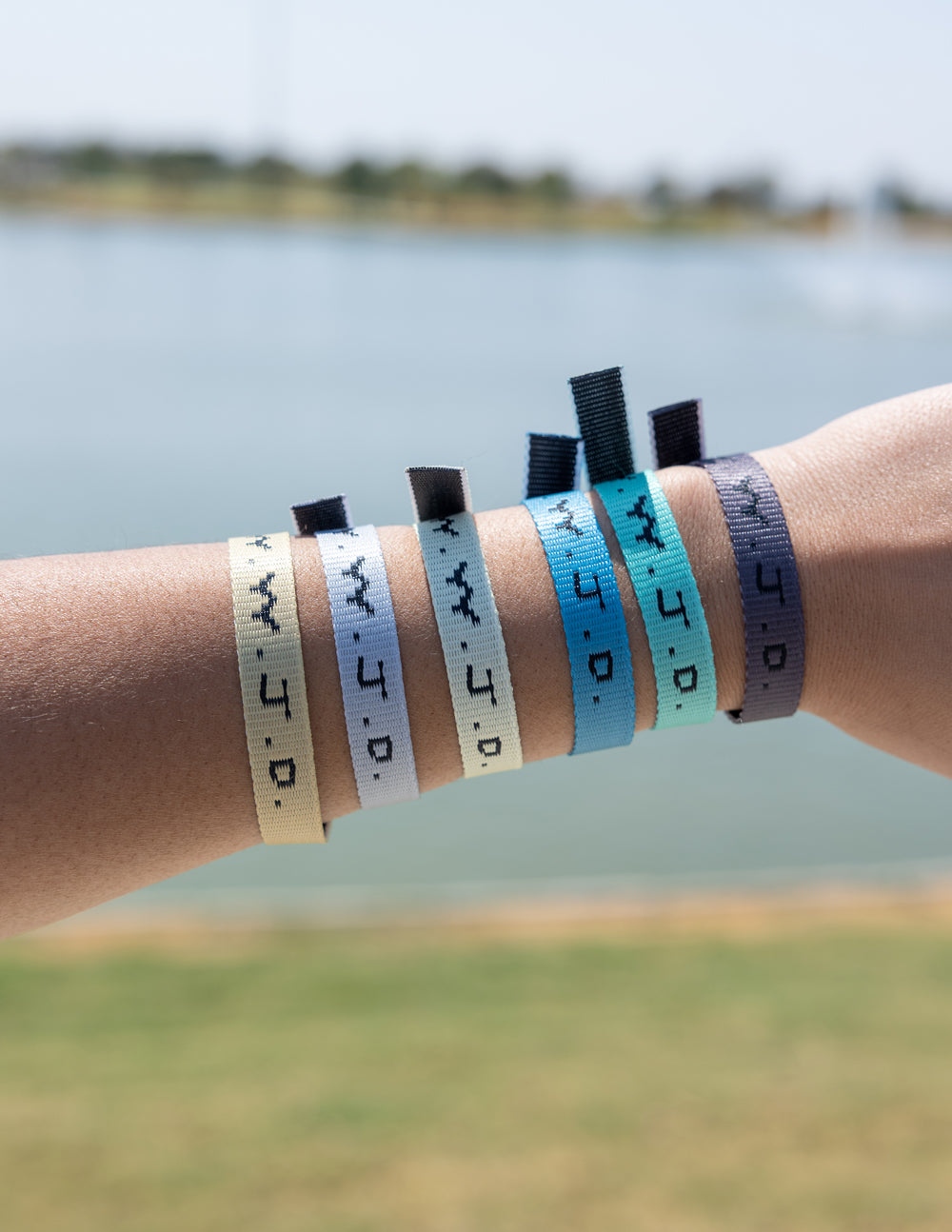 Elevated Faith WWJD Surf Bracelet Pack