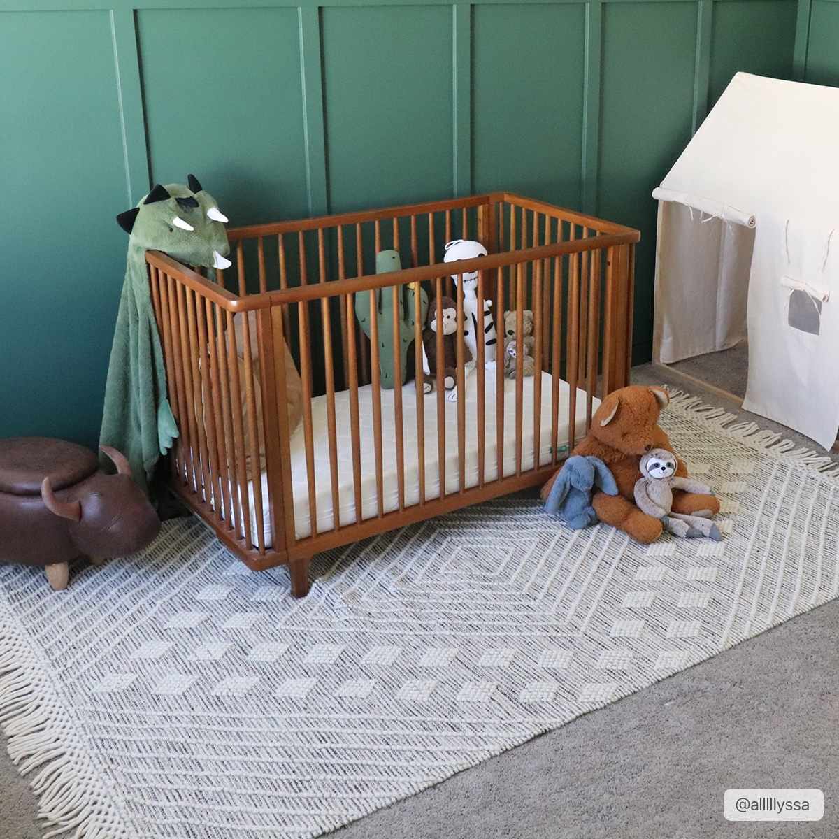 Dama Wool Rug with Tassels - Clearance