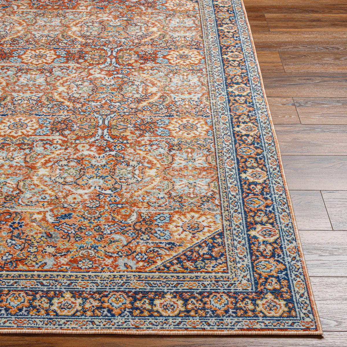 Ania Outdoor Area Rug - Clearance