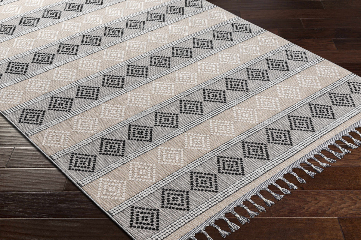 Arij Area Rug - Clearance