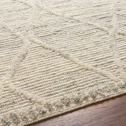 Aysu @Area Rug - Clearance