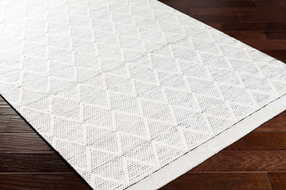 Bartimaeus Area Rug - Clearance