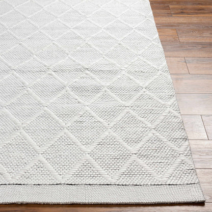 Bartimaeus Area Rug - Clearance