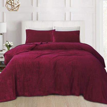 Elegant Comfort 4-Piece Velvet Plush Flannel Sheet Set