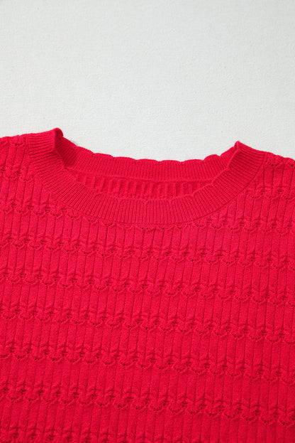 Threaded Pear Kay Knit Ribbed Cuffs Crew Neck Sweater