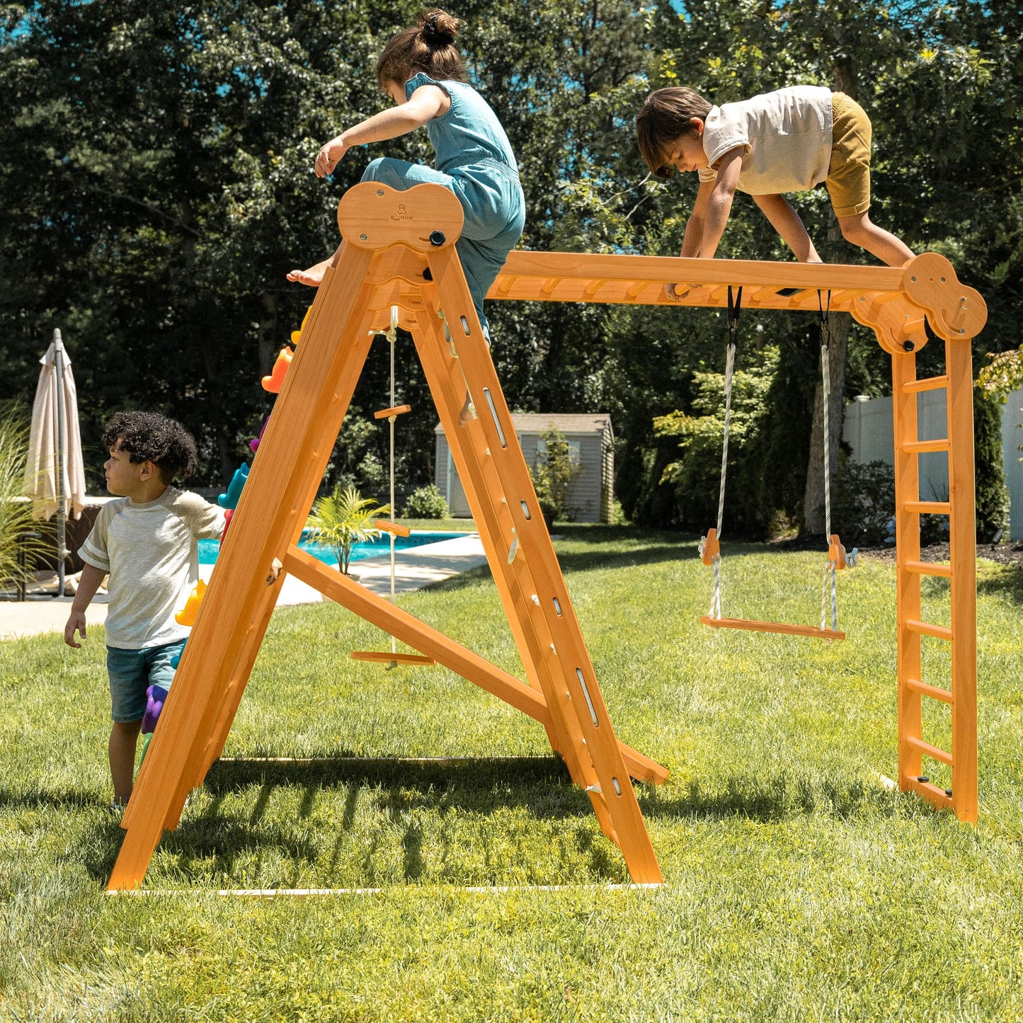 Chestnut | Foldable Jungle Gym