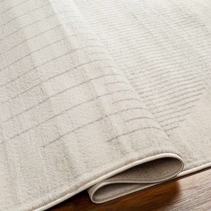 Dung Area Rug - Clearance