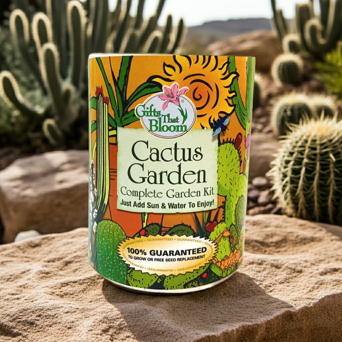 Gifts That Bloom Cactus Garden Grocan