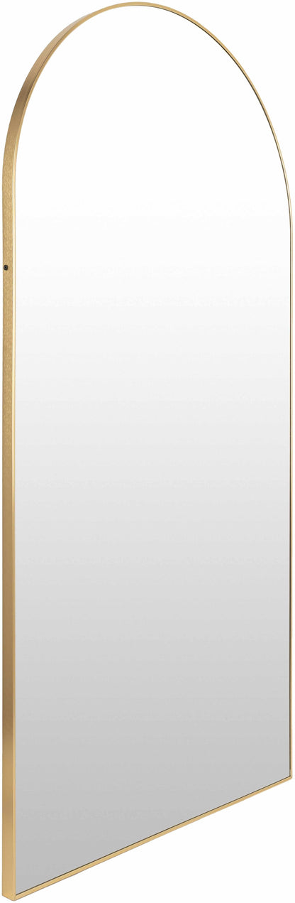 Anipovka Mirror